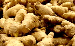 Nigeria govt, Nasarawa train 200 farmers on ginger production