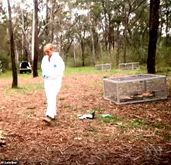 Human corpses move around ‘significantly’ for a year after death, Scientists discover