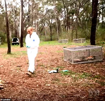 Human corpses move around ‘significantly’ for a year after death, Scientists discover