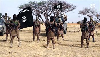 ISWAP fighters ambush convoy, kill 7 soldiers, 1 militiaman in Borno