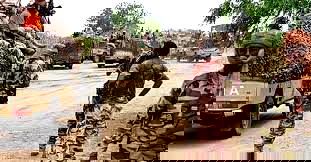 MNUTF kills seven ISWAP commanders in Lake Chad