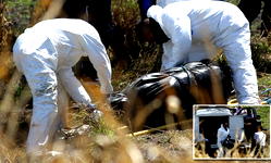 29 bodies found stuffed in 119 plastic bags in Mexico