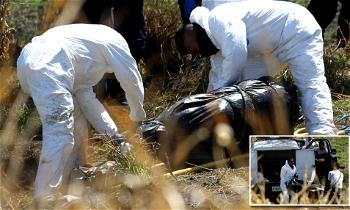29 bodies found stuffed in 119 plastic bags in Mexico
