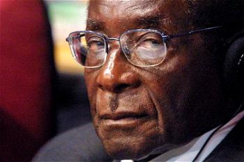 Kinship with Robert Mugabe