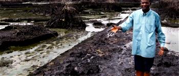 POLLUTION: Delta, London varsity perform forensic analysis of oil communities’ residents