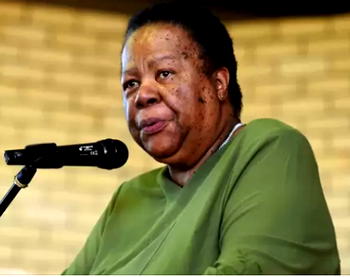 Breaking: Many Nigerians in South Africa are drug traffickers – SA minister