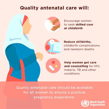 More women accessing antenatal care services in Kebbi – Official