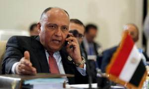 Egypt’s foreign minister, Sameh Shoukry