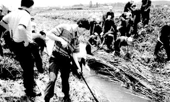 South Korea’s ‘serial killer’ found after 30 years, won’t face prosecution