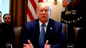 Trump must hand over eight years of tax returns, court rules