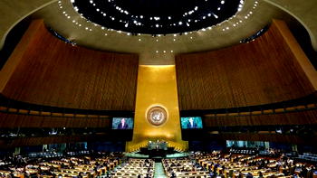 The UN biodiversity summit and us