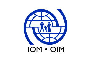 UN to assist Africa develop policies to promote safe migration