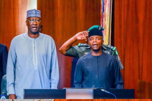 National livestock plan not for cows alone—NEC