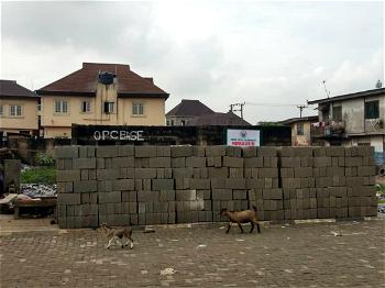 Agege LG commences building of health centre at Awawa’s den 