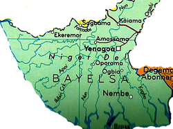 Gunmen kill butchers’ chairman in Bayelsa