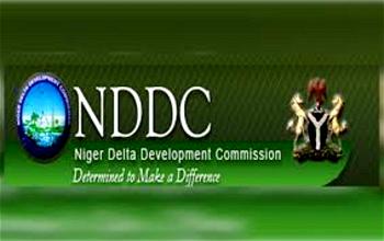 NDDC Board: Rita Lori Ogbebor lies again – Group