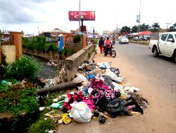 175 people apprehended for violation of environmental laws in Ekiti —Commissioner