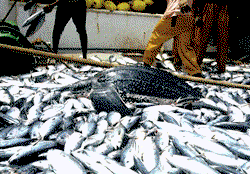 Agency woos youths in Anambra to aquaculture
