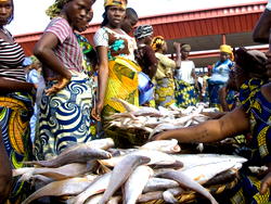 Nigeria spends $1.2bn to import fish annually — Emefiele