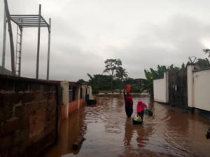 Benue, Borno, 700 rendered homeless, bridge, houses destroyed