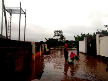 NIGERIA: Plant trees for erosion control — expert