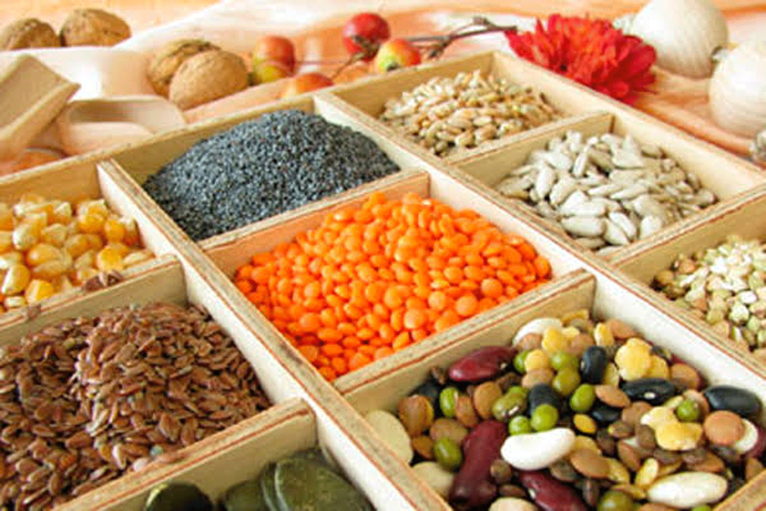 10 African countries with highest cost of living at start of 2026