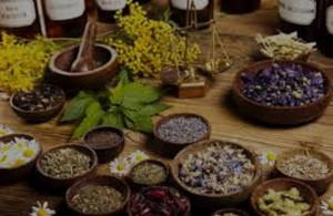 HEALTH 101: Plants,Ethnomedicine and Drug Discovery