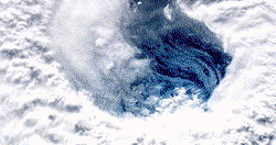 SHOCKING!! Hurricane Dorian heads for Florida (Videos, photos)