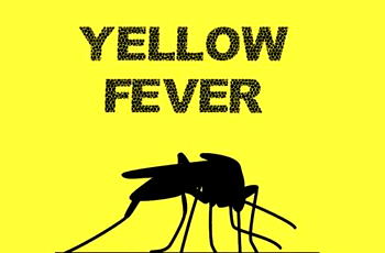 NCDC confirms 4 cases of Yellow Fever in Bauchi