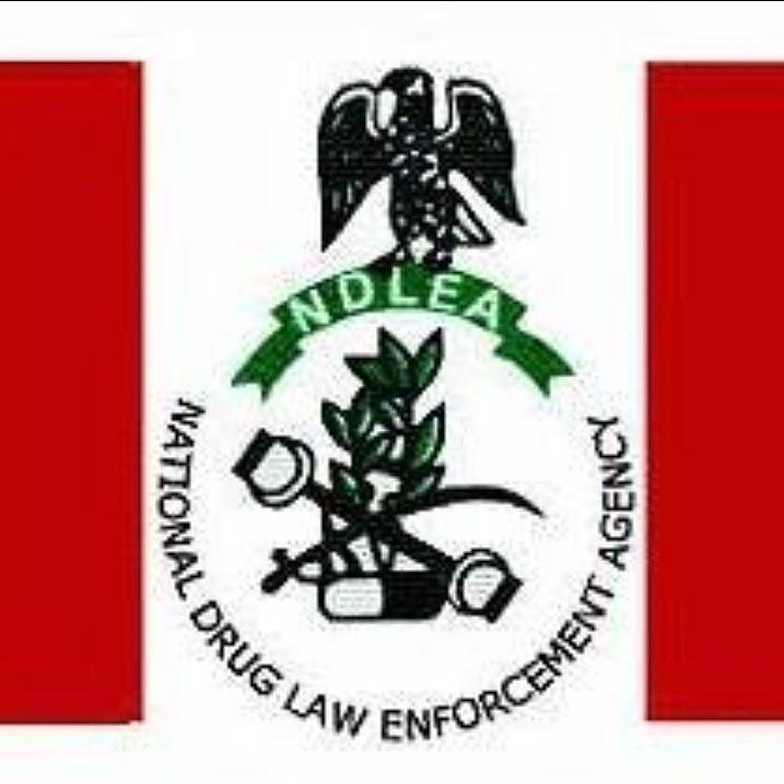 NDLEA intercepts 239 kilograms of illicit drug in Imo