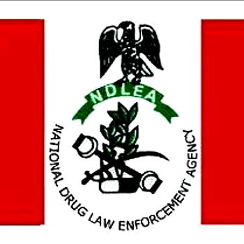 NDLEA boss emerges 1st vice chairman of drug enforcement agencies in Africa