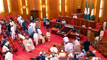 Senate introduces bill to establish Electoral Offences Commission