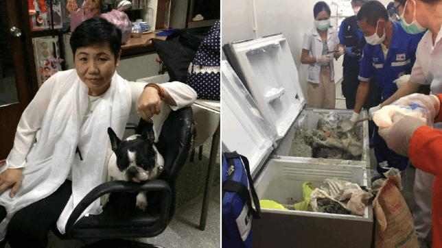 Millionaire businesswoman found dead in own fridge entombed in concrete