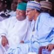 Buhari names Osinbajo as chair, Health Sector Reform Committee