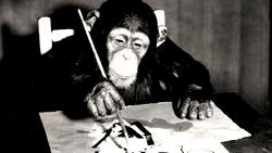 Paintings by famed chimp artist to go on sale for $250,000 (N90m)