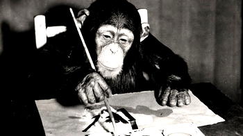 Paintings by famed chimp artist to go on sale for $250,000 (N90m)