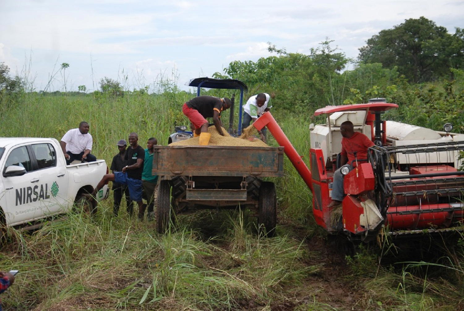 Edo farmers cry out to Buhari, Lawan, Gbajabiamila over alleged misuse of N75bn agric loans