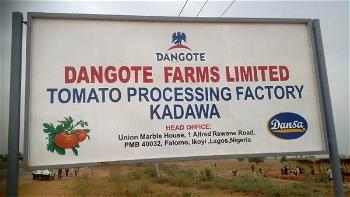 Dangote MD urges FG to stop tomato paste import