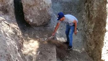 Lost Egyptian temple unearthed after 2,200 years