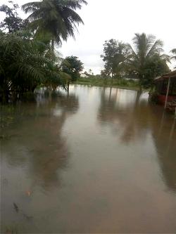 Flood sacks Olomu communities In Delta state