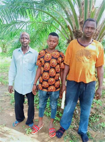 Troops rescue 3 farmers in Kaduna, kill bandit