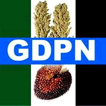 Kogi Guber: My life, family under threats ―GNDP candidate cries out