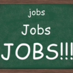 Over 4000 people apply for 2000 Taraba jobs in 3 weeks