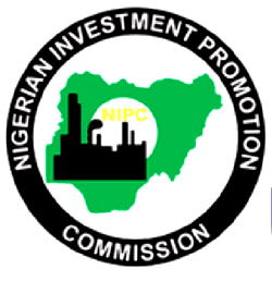 COVID-19 triggers 62% fall in real sector investment in Q1 — NIPC