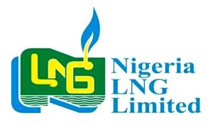 Why Nigeria is not yet a shipping nation — NLNG, ICS
