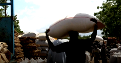Border Closure: We are crippled by Nigeria’s restriction ― Niger traders