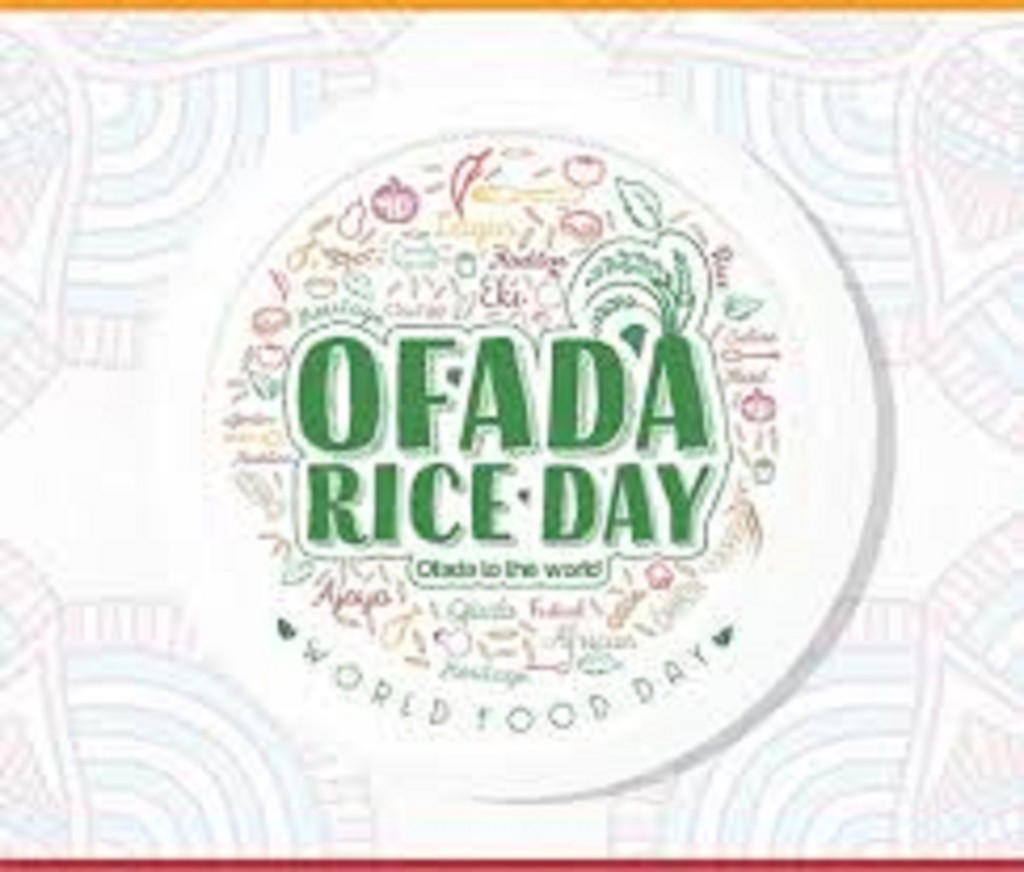 Lagos to host first edition of 'Ofada rice day' festival
