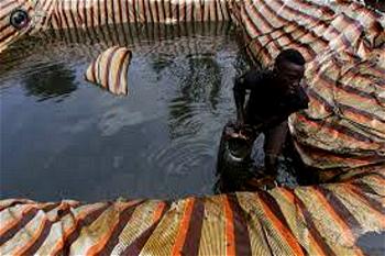 Pollution:  N’Delta fishermen to convert fish farms to oil bunkering camps —Militants