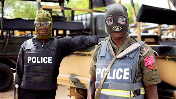 Why Nigerians want systematic police reforms 
