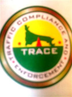 Four deaths, 14 auto crashes recorded in Ogun – TRACE